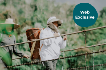 Provide Scripture for Younger Generations in Asia